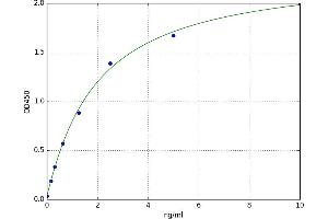 A typical standard curve
