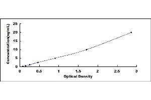 Typical standard curve (OXCT1 ELISA 试剂盒)