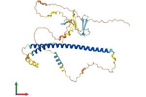 AlphaFold protein structure predicition of Mouse Recombinant Mcidas Protein, UniprotID Q3UZ45 (Multicilin Protein (AA 1-379) (His tag))
