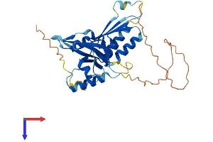 AlphaFold protein structure predicition of Human Recombinant MEDAG Protein, UniprotID Q5VYS4 (MEDAG Protein (AA 1-303) (His tag))