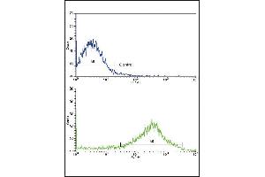 Flow cytometric analysis of NCI- cells using OPRS1 Antibody (N-term)(bottom histogram) compared to a negative control cell (top histogram). (SIGMAR1 抗体  (N-Term))