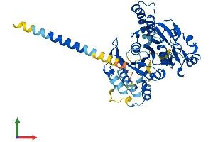 AlphaFold protein structure predicition of Human Recombinant B4GAT1 Protein, UniprotID O43505