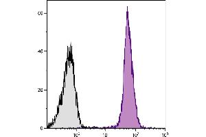 Flow Cytometry (FACS) image for Goat anti-Rat Ig (Heavy & Light Chain) antibody (Texas Red (TR)) (ABIN376799)