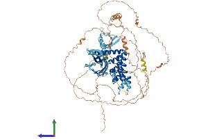 AlphaFold protein structure predicition of Mouse Recombinant Mphosph8 Protein, UniprotID Q3TYA6 (MPHOSPH8 Protein (AA 1-858) (His tag))