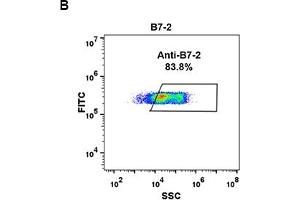 Flow Cytometry (FACS) image for anti-CD86 (CD86) (AA 26-247) antibody (ABIN7272736) (CD86 抗体  (AA 26-247))
