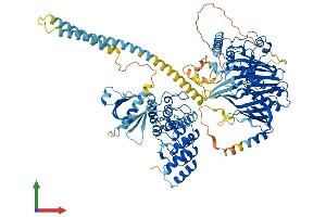 Protein Structure (PS) image for Oxysterol Binding Protein-Like 1A (OSBPL1A) (AA 1-950) protein (His tag) (ABIN7554861)
