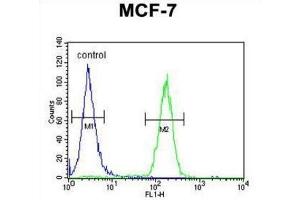Flow Cytometry (FACS) image for anti-THO Complex 7 (THOC7) antibody (ABIN3004372) (THOC7 抗体)