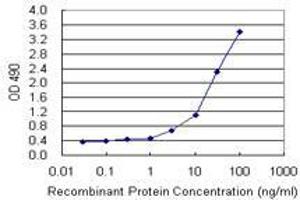 Sandwich ELISA detection sensitivity ranging from 3 ng/mL to 100 ng/mL. (TP53RK (人) Matched Antibody Pair)