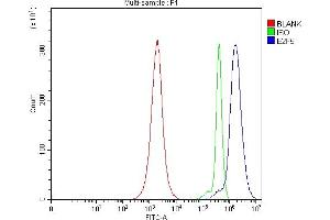 anti-E2F5 (E2F5) (AA 121-346) antibody