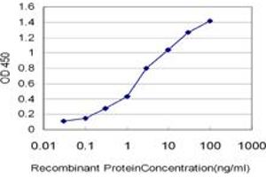 Detection limit for recombinant GST tagged CRYBB1 is approximately 0. (CRYBB1 抗体  (AA 1-252))