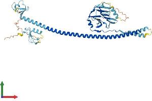 AlphaFold protein structure predicition of Human Recombinant TRIM77 Protein, UniprotID I1YAP6