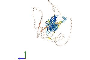 Protein Structure (PS) image for DiGeorge Syndrome Critical Region Gene 8 (DGCR8) (AA 1-773) protein (His tag) (ABIN7565037)