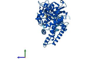 Protein Structure (PS) image for Cytochrome P450, Family 2, Subfamily C, Polypeptide 18 (CYP2C18) (AA 1-490) protein (His tag) (ABIN7546732)