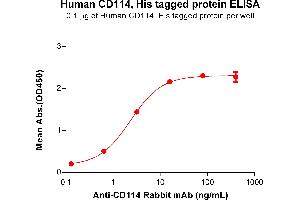 ELISA image for Colony Stimulating Factor 3 Receptor (Granulocyte) (CSF3R) (AA 25-622) protein (His tag) (ABIN6961136)