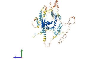 Protein Structure (PS) image for Non-SMC Condensin II Complex, Subunit H2 (NCAPH2) (AA 1-605) protein (His tag) (ABIN7546643)