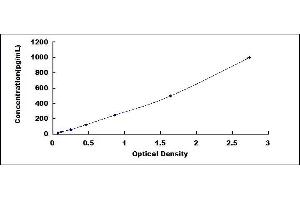 Typical standard curve (IL1F9 ELISA 试剂盒)