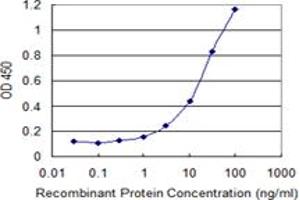Detection limit for recombinant GST tagged PARP3 is 0. (PARP3 抗体  (AA 1-533))