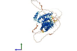 AlphaFold protein structure predicition of Human Recombinant LONRF3 Protein, UniprotID Q496Y0