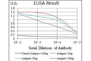 Black line: Control Antigen (100 ng), Purple line: Antigen(10 ng), Blue line: Antigen (50 ng), Red line: Antigen (100 ng), (TGFB1 抗体  (AA 62-195))