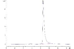 Size-exclusion chromatography-High Pressure Liquid Chromatography (SEC-HPLC) image for C-Type Lectin Domain Family 12, Member A (CLEC12A) (AA 65-267) protein (His tag) (ABIN7274361)