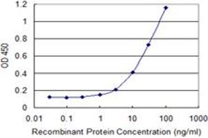 ELISA image for anti-Polymerase (RNA) II (DNA Directed) Polypeptide J, 13.3kDa (POLR2J) (AA 1-117) antibody (ABIN519032)