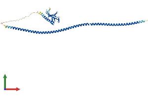 Protein Structure (PS) image for Homer Homolog 2 (HOMER2) (AA 1-354) protein (His tag) (ABIN7548350)