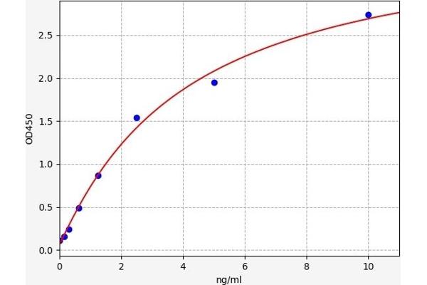 SLC6A3 ELISA 试剂盒