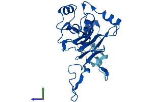 AlphaFold protein structure predicition of Human Recombinant GGTLC3 Protein, UniprotID B5MD39