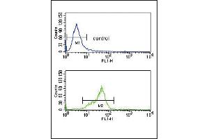 Flow Cytometry (FACS) image for anti-Guanine Nucleotide Binding Protein (G Protein), alpha Activating Activity Polypeptide O (GNAO1) (AA 291-320), (C-Term) antibody (ABIN5533066)