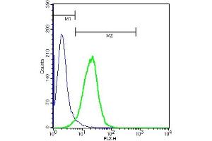 U937 cells probed with Rabbit Anti-CD40L Polyclonal Antibody (ABIN674439) at 1:100 for 40 minutes followed by incubation with Goat Anti-Rabbit IgG PE conjugated secondary  at 1:100 (green) for 40 minutes compared to control cells (blue). (CD40 Ligand 抗体  (AA 31-150))