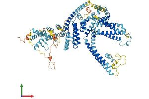 Protein Structure (PS) image for Transient Receptor Potential Cation Channel, Subfamily C, Member 1 (TRPC1) (AA 1-793) protein (His tag) (ABIN7555853)