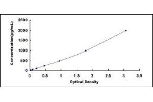 Typical standard curve (Cathepsin B ELISA 试剂盒)