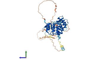 Protein Structure (PS) image for Leucine Rich Repeat Containing 42 (LRRC42) (AA 1-428) protein (His tag) (ABIN7549208)