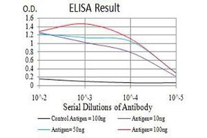 Black line: Control Antigen (100 ng),Purple line: Antigen (10 ng), Blue line: Antigen (50 ng), Red line:Antigen (100 ng) (RUNX1 抗体  (AA 237-337))