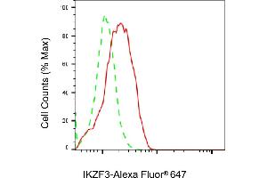 anti-IKAROS Family Zinc Finger 3 (Aiolos) (IKZF3) antibody
