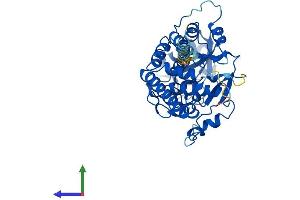 Protein Structure (PS) image for Family with Sequence Similarity 20, Member B (FAM20B) (AA 1-409) protein (His tag) (ABIN7556039)