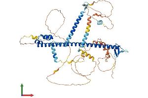 AlphaFold protein structure predicition of Mouse Recombinant Nfe2l2 Protein, UniprotID Q60795