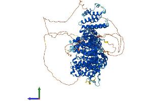 Protein Structure (PS) image for Stromal Antigen 2 (STAG2) (AA 1-1231) protein (His tag) (ABIN7562347)