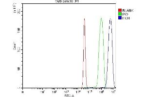 Flow Cytometry analysis of SiHa cells using anti-ITCH antibody (ABIN3043253).