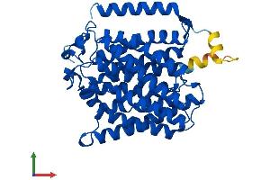 Protein Structure (PS) image for Rh Family A Glycoprotein (RHAG) (AA 1-409) protein (His tag) (ABIN7551366)