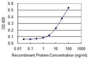 Detection limit for recombinant GST tagged FKBP10 is 1 ng/ml as a capture antibody. (FKBP10 抗体  (AA 377-470))