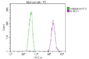 Overlay Peak curve showing U251 cells stained with ABIN7173630 (red line) at 1:100. (Tumor Suppressor Gene On Chromosome 11 (TSG11) (AA 1-145) 抗体)