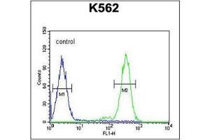 Flow Cytometry analysis of K562 cells using RTP4 Antibody (C-term) Cat. (RTP4 抗体  (C-Term))