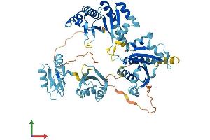 Protein Structure (PS) image for Insulin-Like Growth Factor 2 mRNA Binding Protein 1 (IGF2BP1) (AA 1-577) protein (His tag) (ABIN7554130)