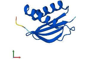 AlphaFold protein structure predicition of Mouse Recombinant Dynll2 Protein, UniprotID Q9D0M5