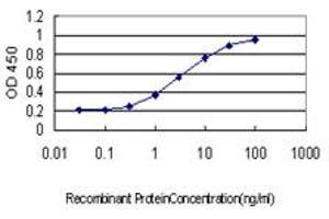 Detection limit for recombinant GST tagged CCL14 is approximately 0. (CCL14 抗体  (AA 20-93))