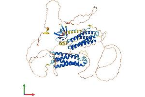 Protein Structure (PS) image for Neural Precursor Cell Expressed, Developmentally Down-Regulated 9 (NEDD9) (AA 1-834) protein (His tag) (ABIN7552840)