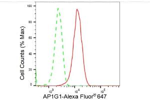 Flow cytometric analysis of AP1G1 expression in HepG2 cells using AP1G1 antibody (ABIN7797508), 1:2,000). (Recombinant gamma 1 Adaptin 抗体)