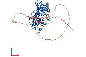AlphaFold protein structure predicition of Human Recombinant SBK1 Protein, UniprotID Q52WX2 (SBK1 Protein (AA 1-424) (His tag))