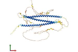 AlphaFold protein structure predicition of Human Recombinant N4BP3 Protein, UniprotID O15049 (N4BP3 Protein (AA 1-544) (His tag))
